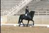 IMG_9796