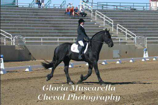 IMG_9616