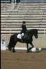 IMG_0252