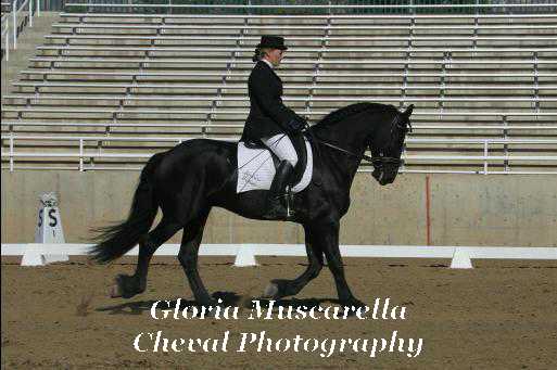 IMG_0582