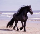 Beauty and the Beach