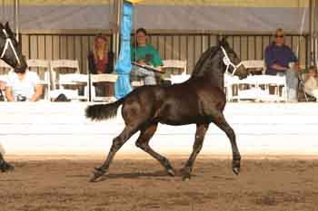 IMG_9917